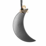 shungite crescent pendant