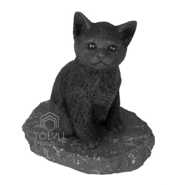 shungite home decor cat