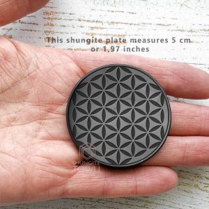 shungite plate for emf protection