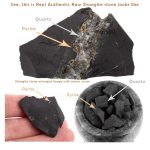 Shungite stone and quartz and pyrite