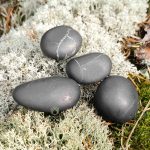 shungite tumbled stones