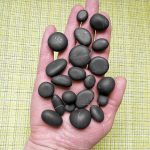 Shungite stones tumbled 1-10 gr