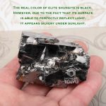 rare mineral shungite