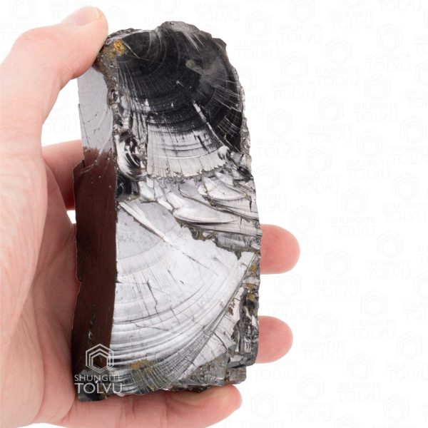 real elite shungite stone authentic sample