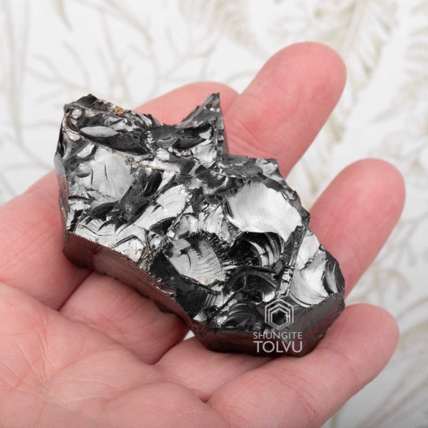 authentic noble shungite stone