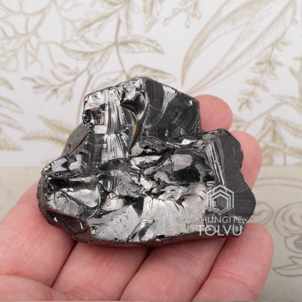 noble shungite stone authentic sample